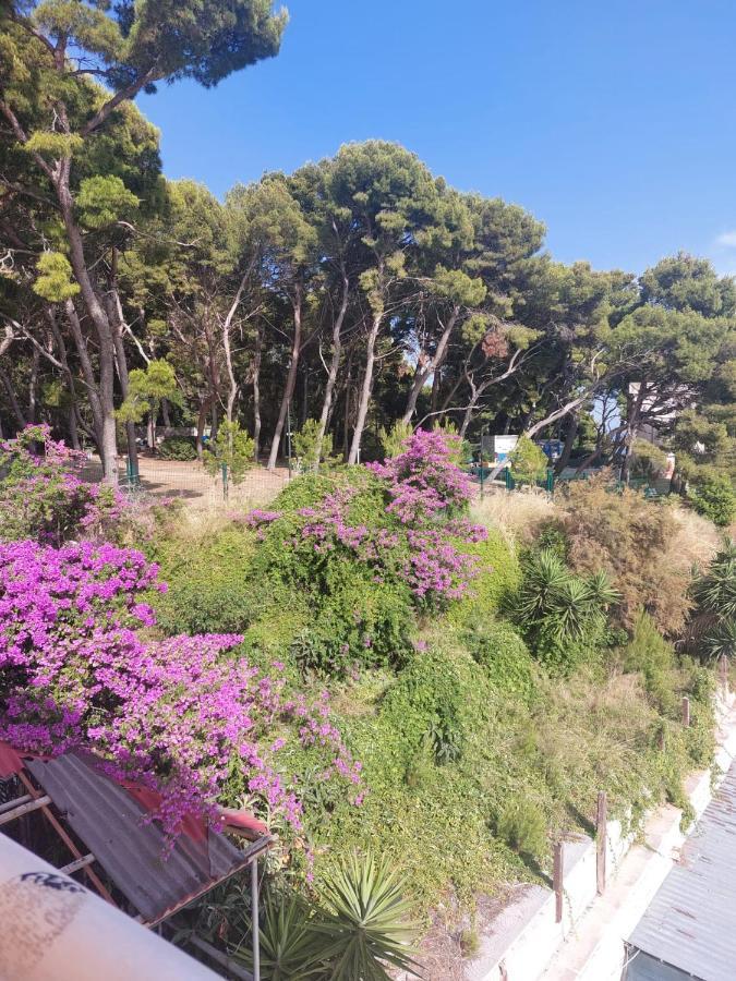 Zoxi Apartmani Split Ngoại thất bức ảnh